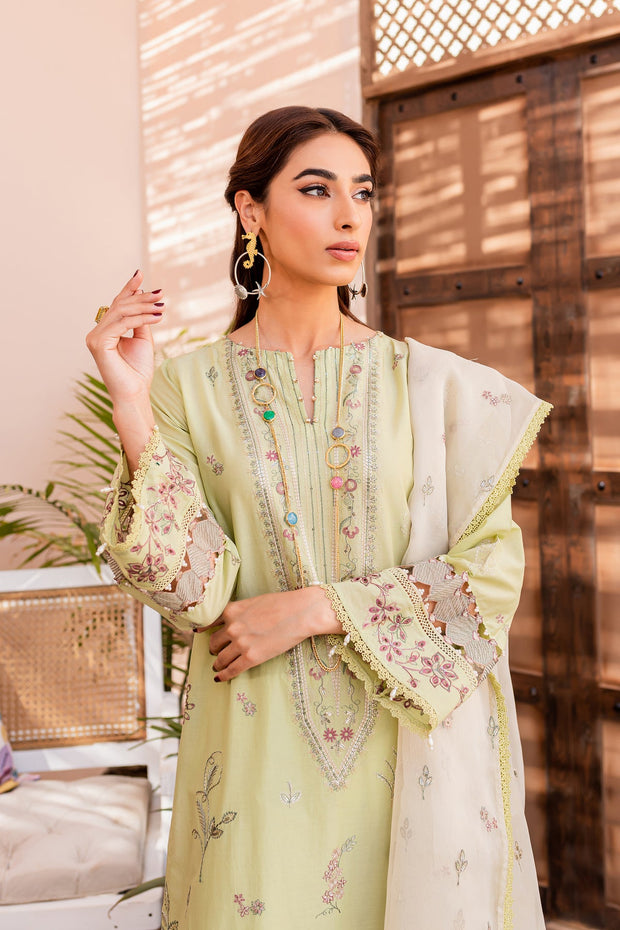 Pakistani Eid Dress in Lawn Kameez Trouser Style