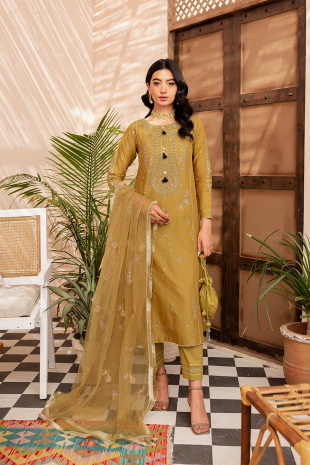 Pakistani Eid Dress in Premium Kameez Trouser Style