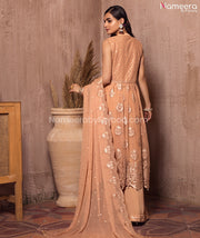 Wedding Party Dress Pakistani 