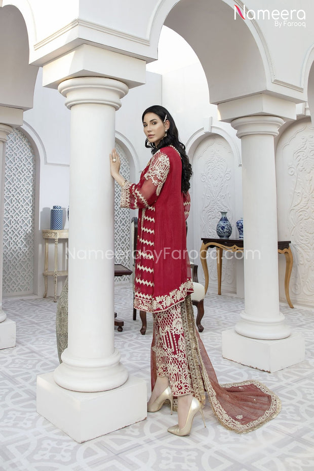 Pakistani Embroidered Chiffon Dress for Party Backside Look