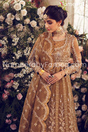 Pakistani Embroidered Classic Royal Frock
