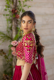 Pakistani Embroidered Lehanga Choli Wedding Dress