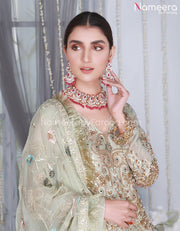 Pakistani Embroidery Dresses
