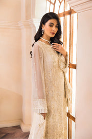 Pakistani Fancy Dress with Intricate Details Stylish
