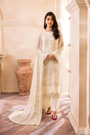 Pakistani Fancy Dress with Intricate Details