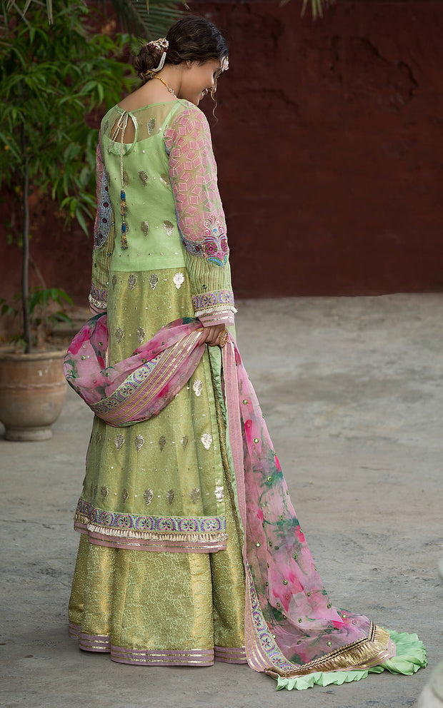 Pakistani Festive Gharara for Wedding Party