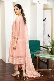 Pakistani Frock Design