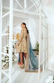 Pakistani Frock Dress