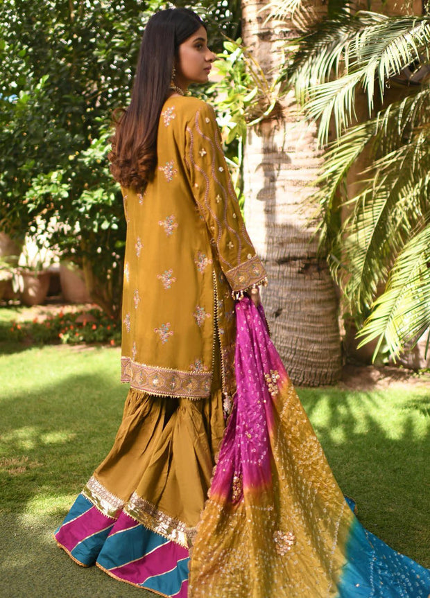 Pakistani Gharara Suit