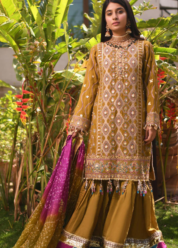 Pakistani Gharara Suits