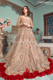 Pakistani Gown