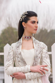 Pakistani Gown