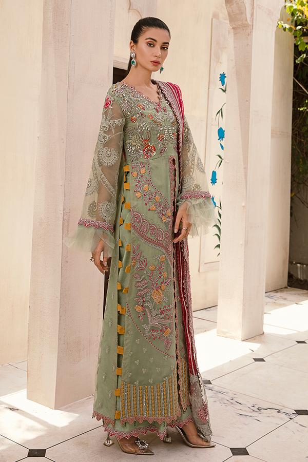 Pakistani Gown
