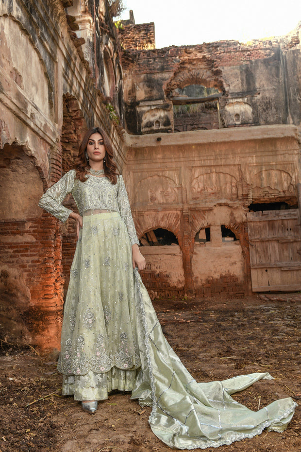 Pakistani Gown and Wedding Lehenga Dress in Net Fabric