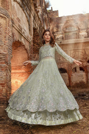 Pakistani Gown and Wedding Lehenga Dress in Net