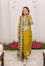 Pakistani Kameez Pants with Dupatta Dress