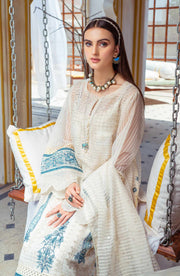 Pakistani Kameez Trouser Dupatta in Organza Fabric