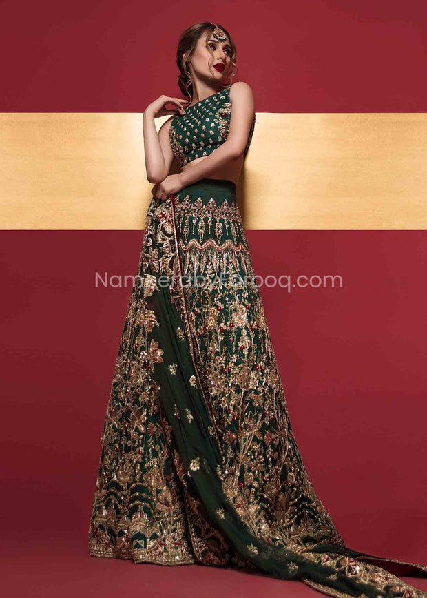 Pakistani Lehenga Blouse Design for Wedding 2021 Overall Look