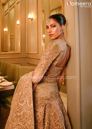 Pakistani Lehenga Choli
