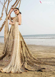 Pakistani Lehenga Choli