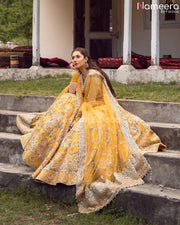Pakistani Lehenga Choli