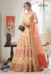 Pakistani Lehenga Choli for Girls with Embroidery