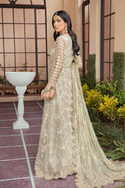 Pakistani Long Dress