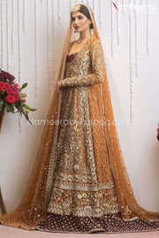 Pakistani Long Frock