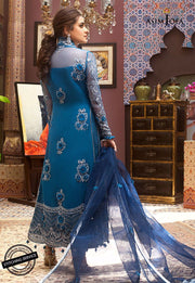 Pakistani Long Shirt Chiffon Dress Backside Look