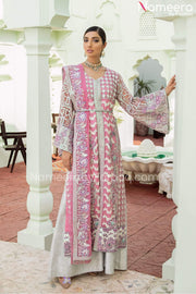 Pakistani Net Dress Design