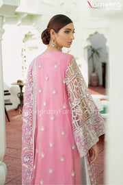 Pakistani Net Dresses