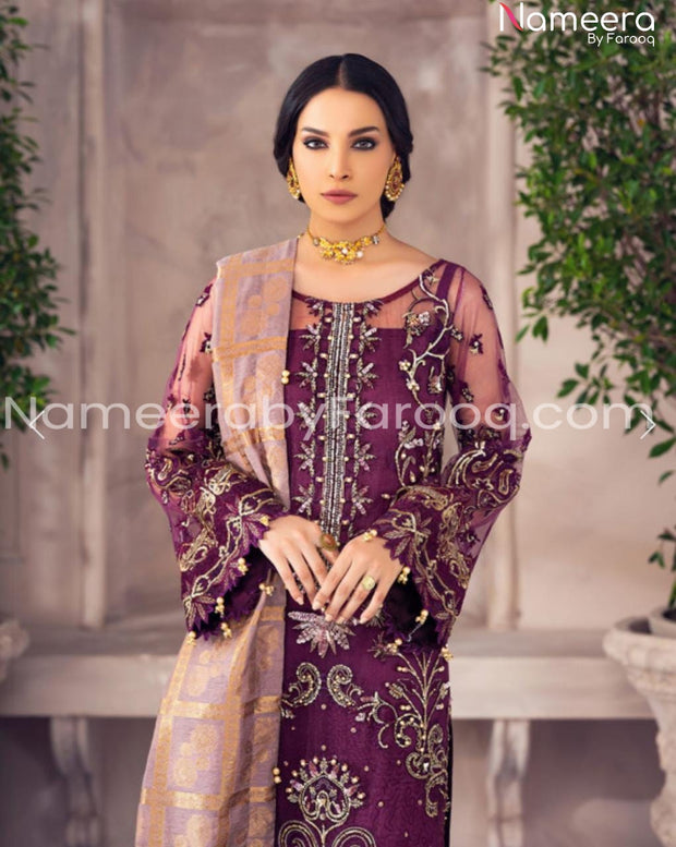 Pakistani Net Embroidered Party Dress closeup View