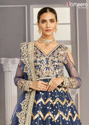 Pakistani Net Party Dress in Frock Style Online Neckline Embroidery