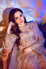 Pakistani Organza Dress with Embroidery Close Up