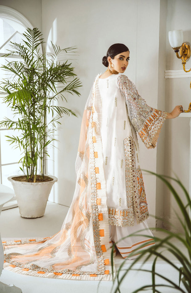 Pakistani Party Dress