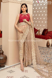Pakistani Party Dress