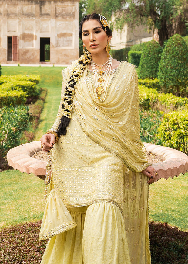 Pakistani Party Dress