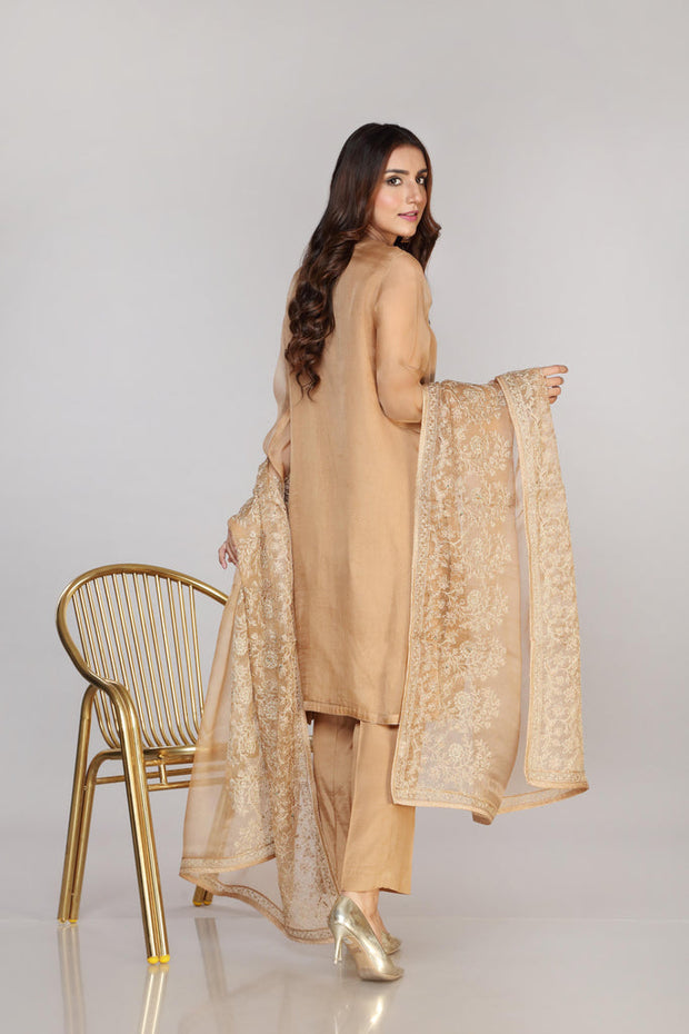 Pakistani Party Dress in Organza Kameez Trouser Style Online