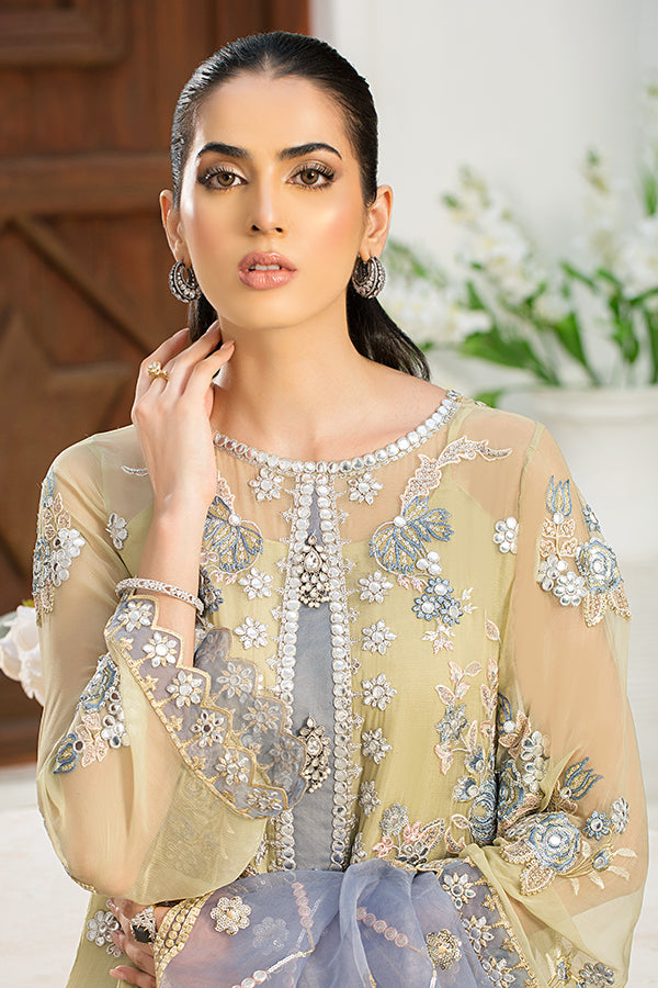 Pakistani Party Dress in Organza Kameez and Raw Silk Trouser Style