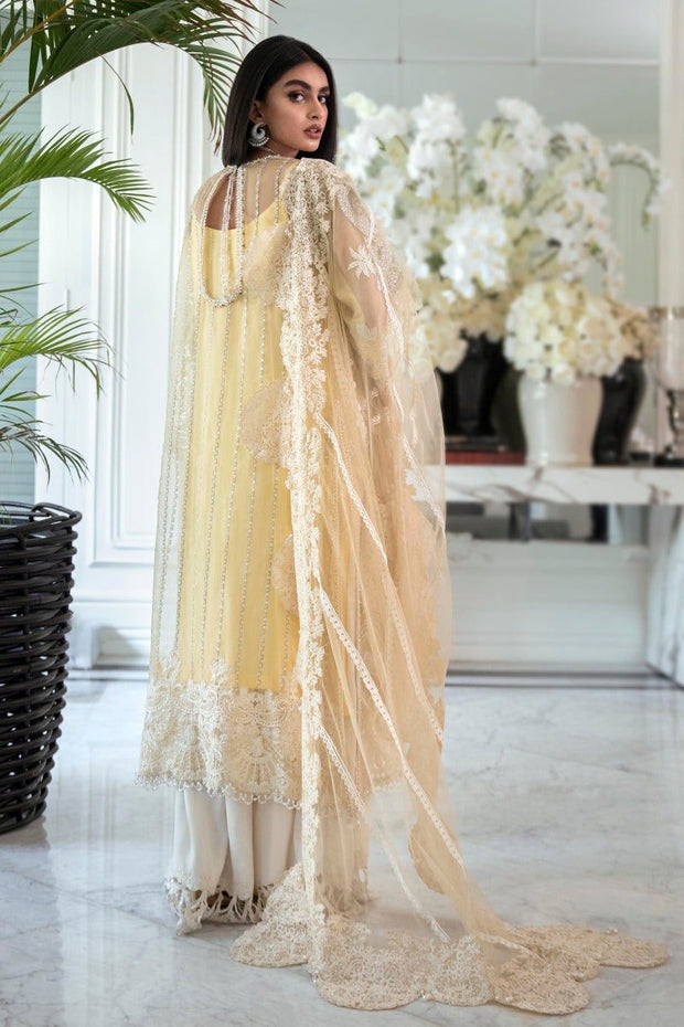 Pakistani Party Wear Salwar Kameez Online