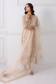 Pakistani Pink Party Dress In Long Kameez and Capri