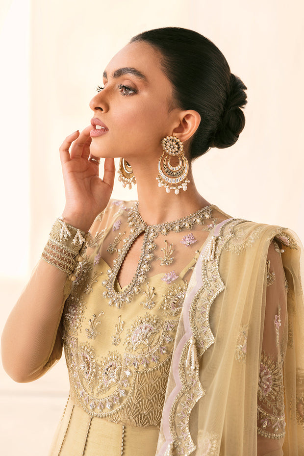 Pakistani Pishwas Dress in Olive Green