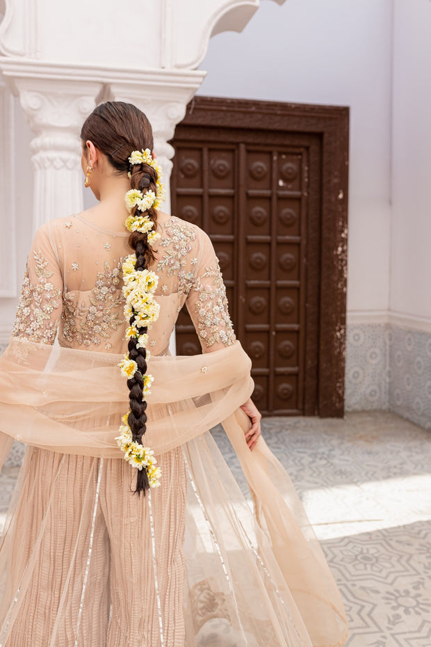 Pakistani Pishwas Dress in Premium Net with Dupatta and Pants