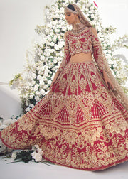 Pakistani Red Bridal Dress