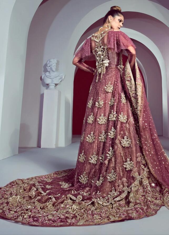 Pakistani Red Bridal Lehnga for Wedding  Backside