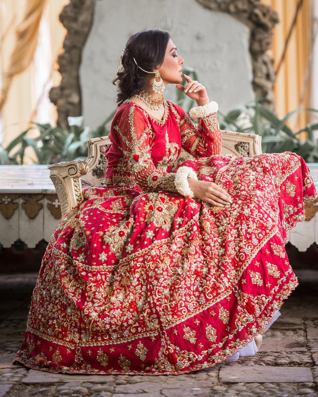 Pakistani Red Lehenga Choli Dress for Traditional Bride