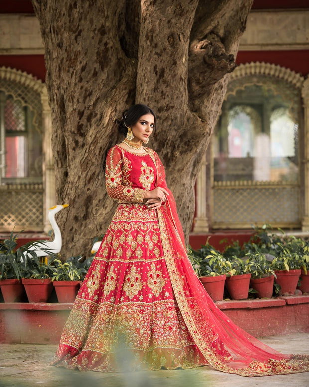 Pakistani Red Lehenga Choli for Bride