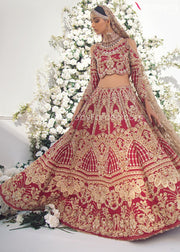 Pakistani Red Lehenga for Marriage with Choli Overall Lehenga Look
