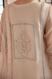 Pakistani Salwar Kameez Ladies Party Dress