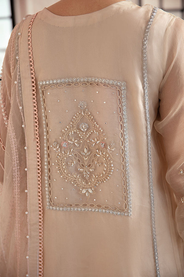 Pakistani Salwar Kameez Ladies Party Dress